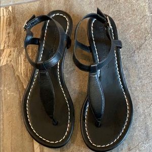 vans authentic leopard black